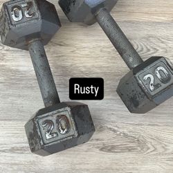 20 Pound Dumbbells 
