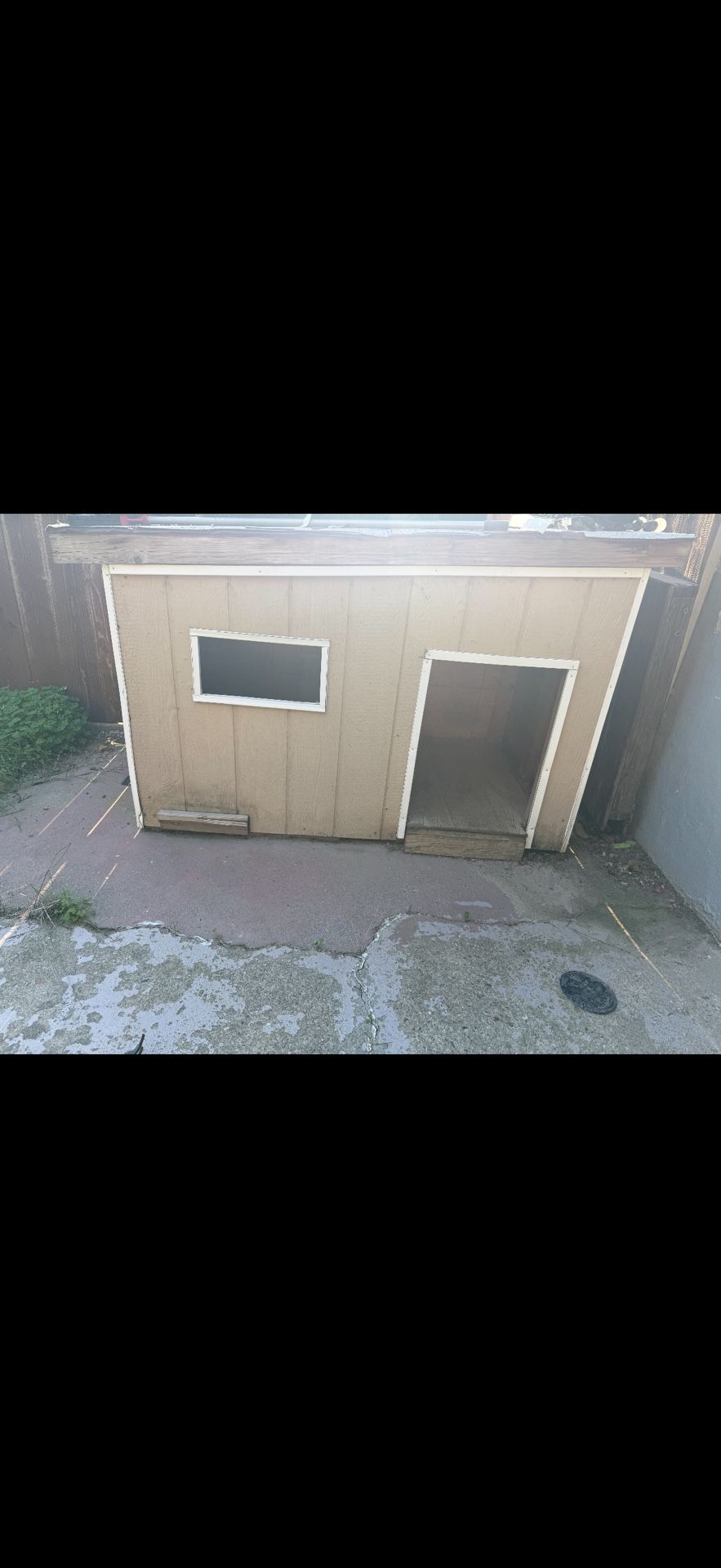 Dog house