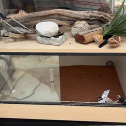 3’x2’x1’ 6” Reptile Cage – Great Condition + UVB/Heat Lamp, Accessories & Zoo Med Timer!