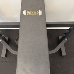 Body Champ Work Out Bench 