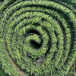 Artificial Grass Used ** Menifee CA ♻️ ✨️