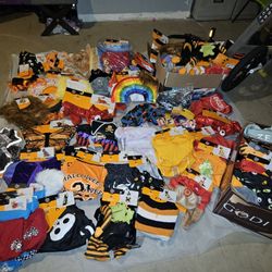 Pet Costumes, Pet Toys, Halloween Decor