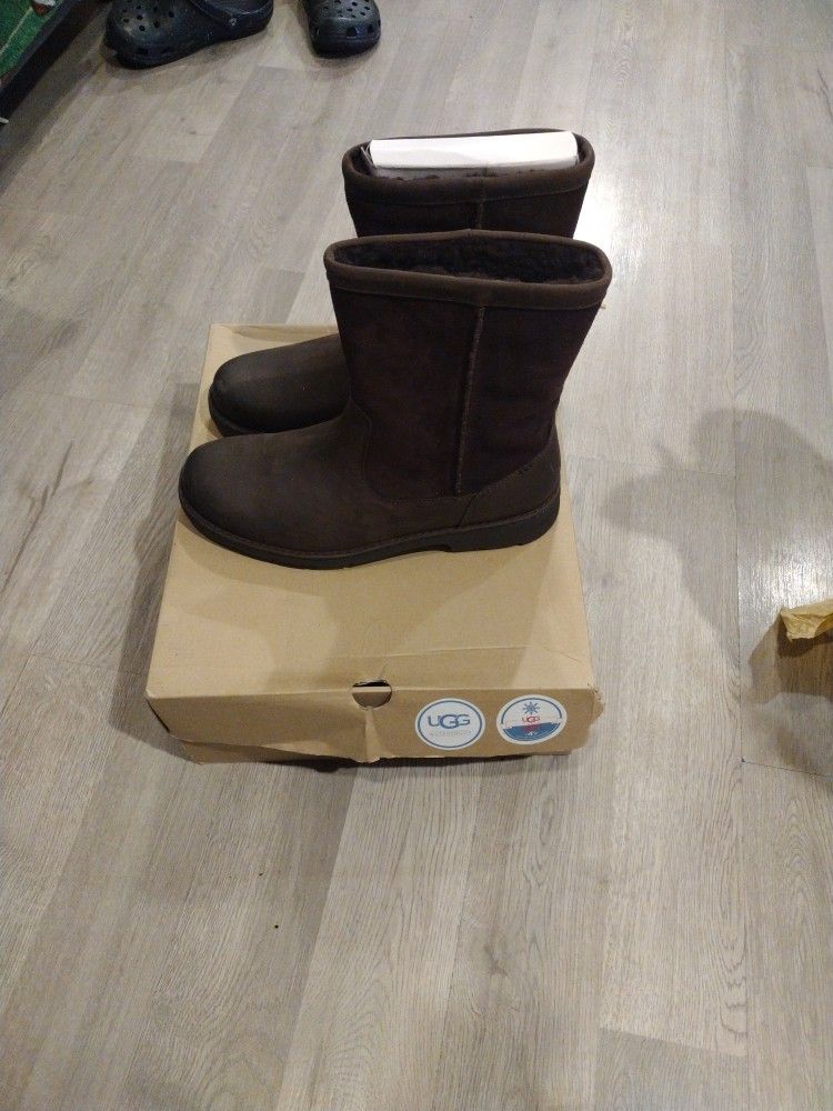 Uggs Boots
