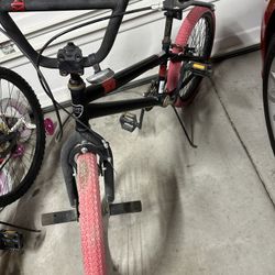 Bike 20 Inch