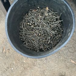 Bucket Of Nails