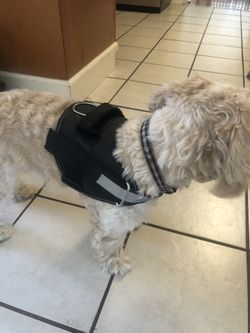 Dog Harness for Medium Size Dog