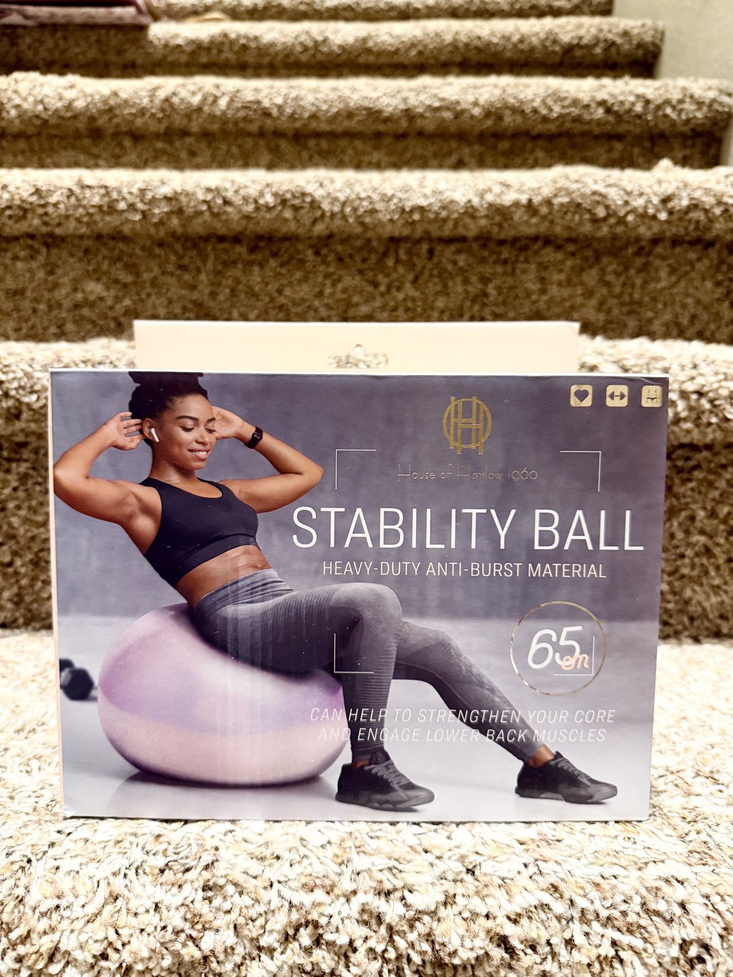 💲9🏋️♀️stability ball 65cm