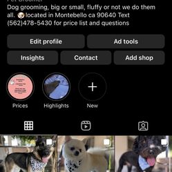 Dog Grooming Supplies