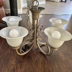 Dining room chandelier