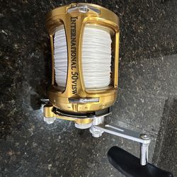 Penn International 50 VISW