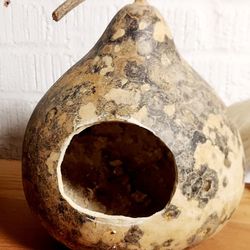 small pet all natural house    rats birds reptiles 