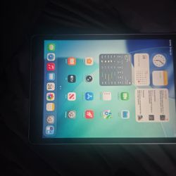 9th Generation iPad 256GB Wifi+Cellular