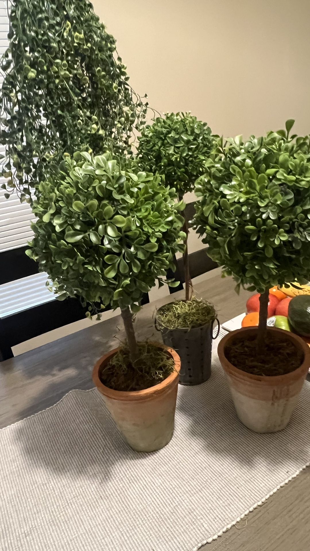 Artificial Plants