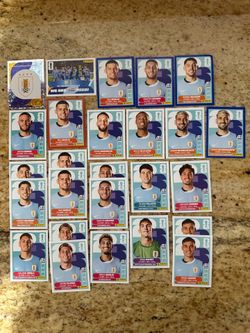 FIFA World Cup Panini Sticker