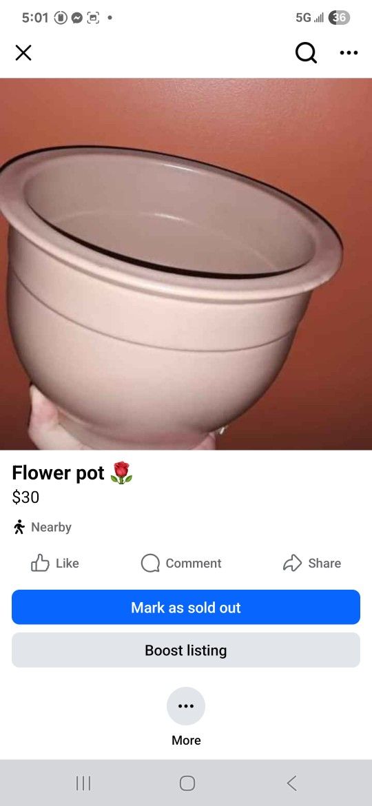 Flower Pot