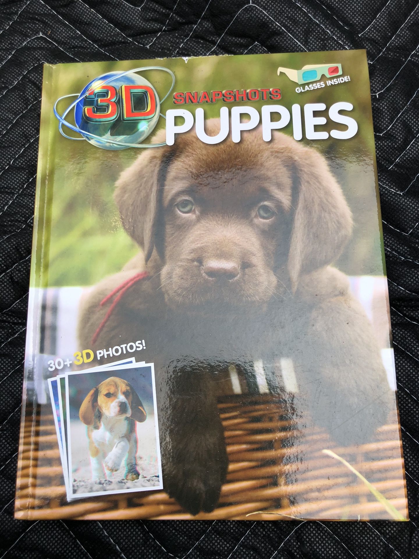 Puppies, 3-D Snapshots Book