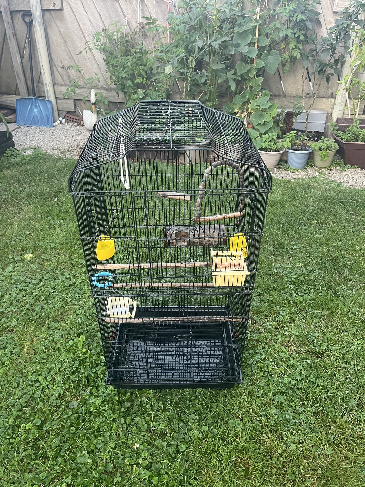 Bird Cage