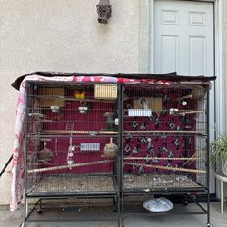 Bird Cages
