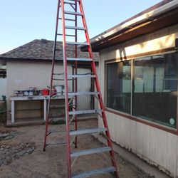 12 Ft $40