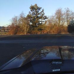 2*4*10 Wood Planks Premium