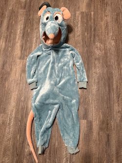 Disney Pixar Ratatouille Remy child’s size 4T costume in excellent condition