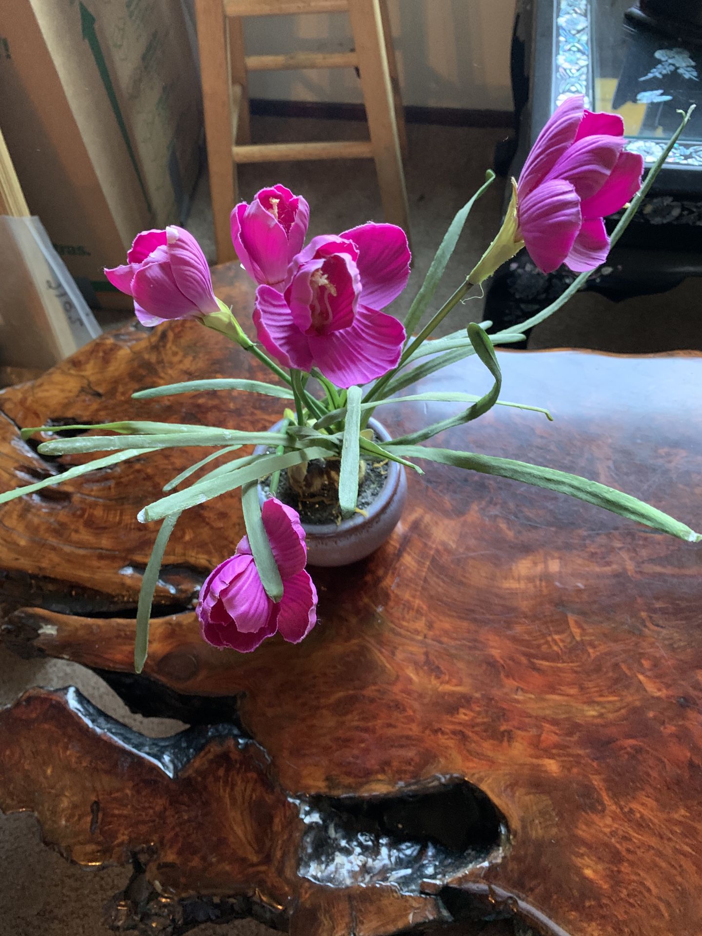 Beautiful Purple Plant In Lavendar Pot
