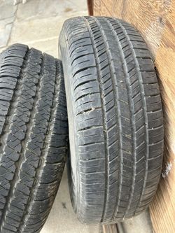 Spare Tired For  6 Holes  Good Years