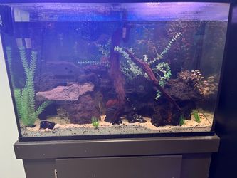 45 gallon with canister filter