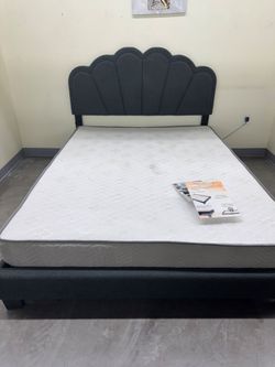 Queen Size Charcoal led with Orthopedic Matres!!!