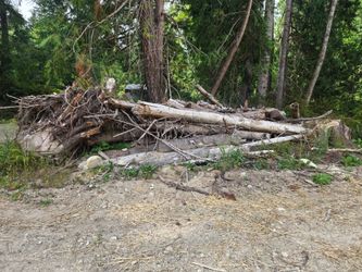 Free fire wood