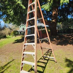 12' Husky Ladder