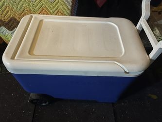 Cooler