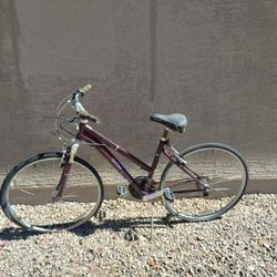 Schwinn Bike 