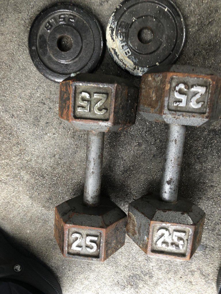 Dumbbells weights 25 Pounds 