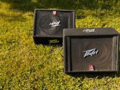 Peavy Monitors