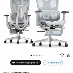 Flexispot Ergonomic office chair
