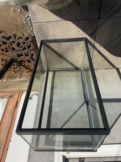 Fish / reptile / amphibian / tortoise turtle tank / terrarium.