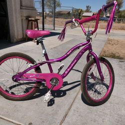 Schwinn Bike