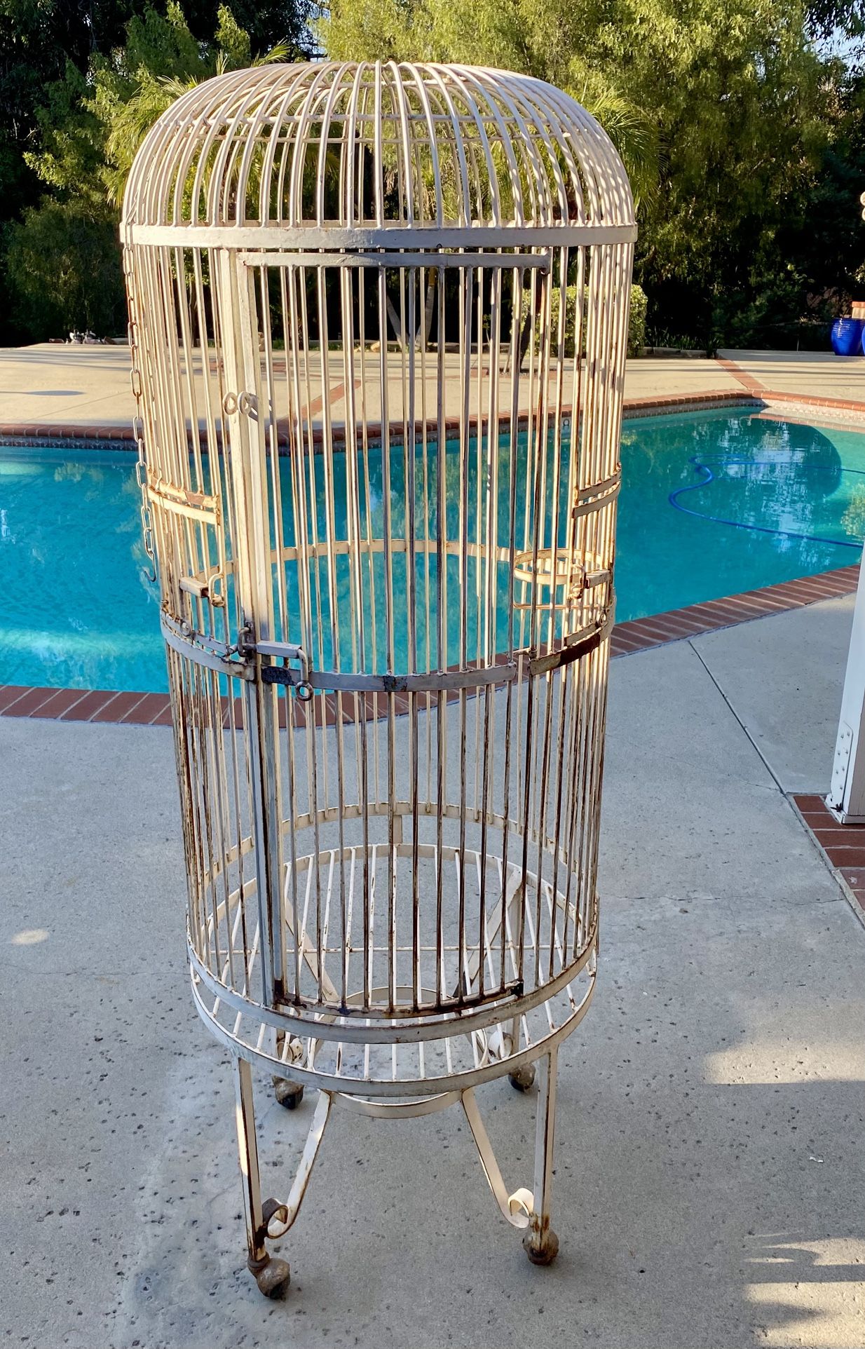Metal Bird Cage