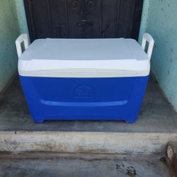 Igloo 48qt Ice Chest 
