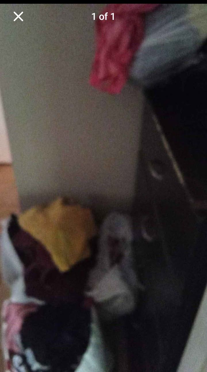 Girls And Woman's Clothing