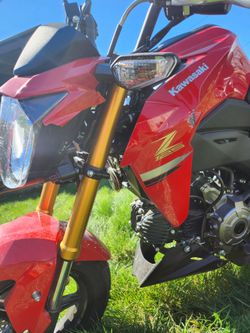 2023 Kawasaki Z125 Pro