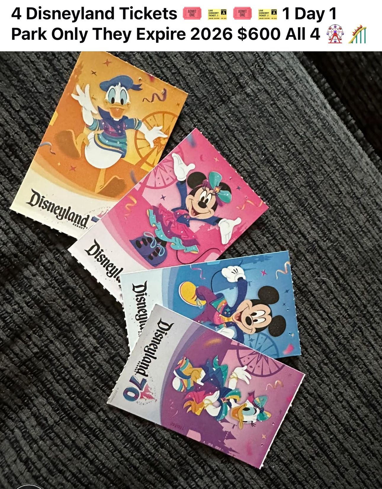 One Day One Park Disneyland