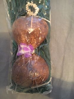 Hula Costume Halloween