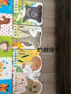 Bilingual English Chinese Animal Touch and Feel Board Books Set