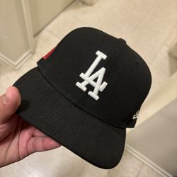 Fitted Hat LA 