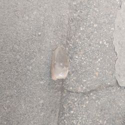 Regular Quartz 