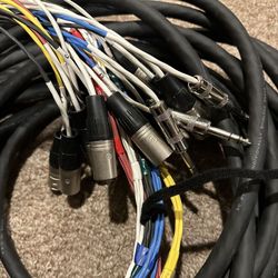 Audio Snake 16 Channel LiveWire