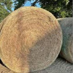 HAY FOR SALE  $80