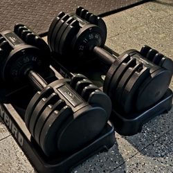 FLYBIRD DUMBBELLS 11-55LB ADJUSTABLE DUMBBELL SELECTABLE WEIGHTS
